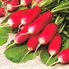Harvesting radish seeds is fun, and a great way to save a little money. Radish Opolanka Nano Gro Increase Harvest Volume By 30 Garden Seeds Market Free Shipping