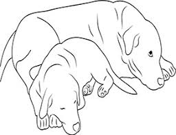 Ausmalbilder Zum Ausdrucken Hund Mit Welpe