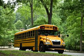 Image result for Federal Standard Yellow 1969 Bluebird