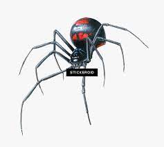 Black Widow Spider Png Download Black Widow Spider Close Up Transparent Png Transparent Png Image Pngitem