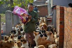 Harga jual untuk anjing kampung berkisar diantara rp200.000 hingga rp500.000/ ekor. 24 Gempar Ideas Unbelievable Pictures Bamboo Forest Japan Milk Snake