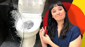 Fortunately, you can clear most clogs yourself without having to pay a plumber. This New Toilet Seat Cleans Your Butt Lightning Fast Youtube