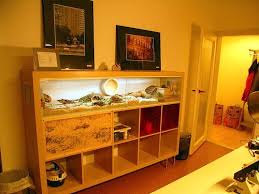 I M Busy Procrastinating Creative And Chic Ikea Hacks Hamster House Ikea Bearded Dragon Terrarium