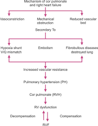 Image result for Cor Pulmonale