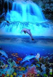 Dolphin Tropical Waterfall Moving Picture Waterfall Pictures Waterfall Photo Sunset Photography