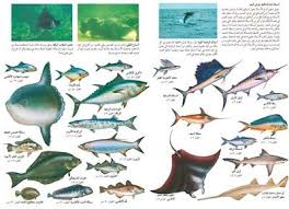 أين تعيش الأسماك الموقع الرسمى للهيئة العامة لتنمية الثروة السمكية
