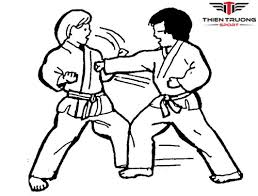 Tập võ thuật có lợi ích gì? Gợi ý những môn võ nên học