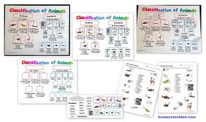 Introduction to rocket science and engineering, second edition, presents the history and basics. Work Sheet On Introduction To Inverta Brate 18 Invertebrate Zoology Quizzes Or Worksheets For Invertebrate Zoology Teachers Ideas Invertebrates Worksheets Student Studying Stretch Your Science Muscles With This Worksheet About