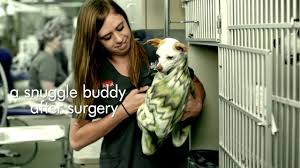 At animal er care, we help your sick or injured pet get the support they need 24/7. Animal Care Center Vet Castle Pines Vets In Castle Rock Co