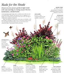 We buy, test, and write reviews. 100 Shade Loving Plants Ideas In 2021 Plants Shade Garden Shade Plants