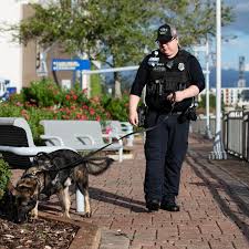 Image result for Stone Gray 2021 Responder