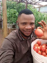 Soil born pests are eliminated because there is no soil used in  hydroponics. #hydroponics #hydroponicfarming #urbanfarming #agriculture