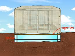 We did not find results for: How To Build A Self Feeding Self Watering Garden Bed
