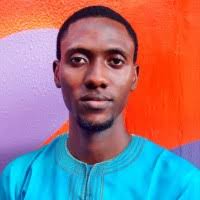 60+ "David Ayodele" profiles