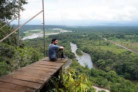 Resultado de imagen para que es la amazonia aqui en ecuador