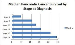 5 States Where Pancreatic Cancer Prevalence Is The Highest The Motley Fool