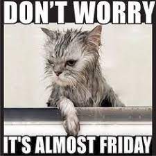 Pin On Funny Friday Meme