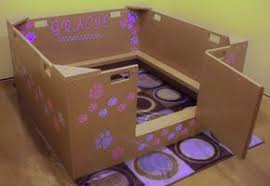Diy Whelping Box Someone Want To Make Me One Whelping Box Dog Whelping Box Pregnant Dog