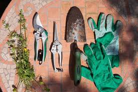 Top 5 Gardening Tools for Professional Gardeners – ECOgardener