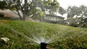 Run the sprinklers for 15 minutes. How Much Should You Water Your Lawn Texas A M Website Takes Out The Guesswork