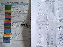 Jadwal imunisasi bayi secara lengkap dan detail berdasarkan data yang didapat dari rekomendasi jadwal lmunisasi idai 2017 bisa dilihat di. Jururawat Kongsi Panduan Isi Jadual Imunisasi Rekod Kesihatan Anak Kemasukan Tahun 1