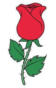 Për të kremtuar zgjodhëm shkollën shqipe në cyrih. Vizatoni Nje Trendafil Me Nje Laps Menyra Te Thjeshta Per Te Zhbllokuar Sekretin Se Si Te Vizatoni Nje Lule Roze