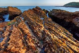 Spooners Cove Montana De Oro State Park Los Osos Ca