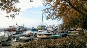 Asuman Adli Kullanicinin Marmara Island Panosundaki Pin