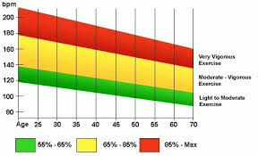 Target Heart Rate Range During Exercise Healthy Heart