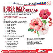 Read reviews and view photos. Gambar Bunga Raya Bunga Kebangsaan
