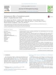 Image result for Synadenium glabratum