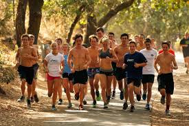 High school cross-country: Veteran runners expected to lead the way