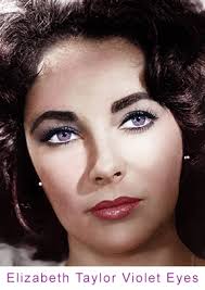 Violet Eyes Human Images