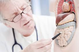 Durchfall Ursachen Diagnostik Und Behandlung