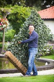 Dekoratix Com Backyard Fence Decor Hedges Garden Privacy