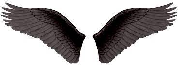 Black Wings Png Image Black Wings Wings Png Wings