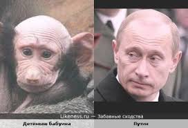 Владимир путин на Likeness.ru / Лучшие сходства в начале
