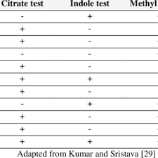 Results Of Biochemical Tests Imvic Tests Download Table