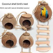 But not satisfied with this and wanted to do. Eco Friendly Naturals Coconut Bird House With Ladder China Bird Nest And Birdhouse Price Made In China Com