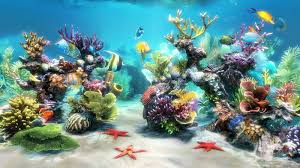 Yuehuam fish tank background pvc 3d aquarium rainforest background poster fish tank wall picture painting decoration self adhesive sticker for reptile box (various sizes) 4.6 out of 5 stars. 50 Best Aquarium Backgrounds Free Premium Templates