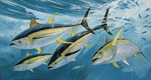 Guy Harvey Wallpaper 30 Image Collections Of Wallpapers Guy Harvey Southern Bluefin Tuna Guys