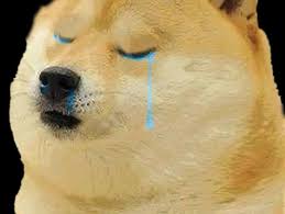 It's the perfect gift for a kid or a meme lover 🎁 this custom covering is robust. Sad Cheems Meme Template Sad And Depressed Dog Doge Doggo Beingcricky