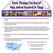 Maybe you would like to learn more about one of these? Report A Found Dog Lost Dogs Of Wisconsin