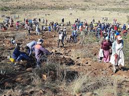 'diamond rush' in kzn sparks call for calm, pending inspection. Qydrhagvtyp2dm
