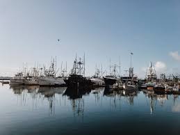 Fishers at the tuna harbor dockside market are peter and luke halmay, david haworth, johnny glawson, dan major, shane slaughter, nick haworth, the fukushima. Tuna Harbor Dockside Market