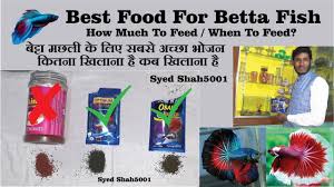 3 more really good betta fish foods. Best Food For Betta Fish For Fast Growth Dark Colour Fins Growth à¤¬ à¤Ÿ à¤Ÿ à¤®à¤›à¤² à¤• à¤² à¤ à¤¸à¤¬à¤¸ à¤…à¤š à¤› à¤­ à¤œà¤¨ Youtube