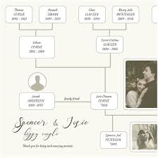 Family Tree Maker Software Professional Templates Heritio