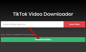 Go back to tikfetch and paste your download link to the field above then click to the download button. How To Download Tiktok Video