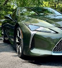 Image result for Nori Green 2022 LC