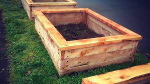 We did not find results for: Raised Garden Bed Planter Boxes Built With Long Lasting Juniper Lumber Love The Organic Look Vegetable Garden Raised Beds Raised Garden Beds Wood Planter Box